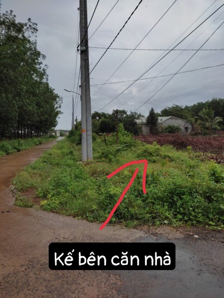 Bán đất 200m2 ngay DT741 đi vào 300m, sát KDC Thái Thành giá chỉ hơn 4tr/m2
