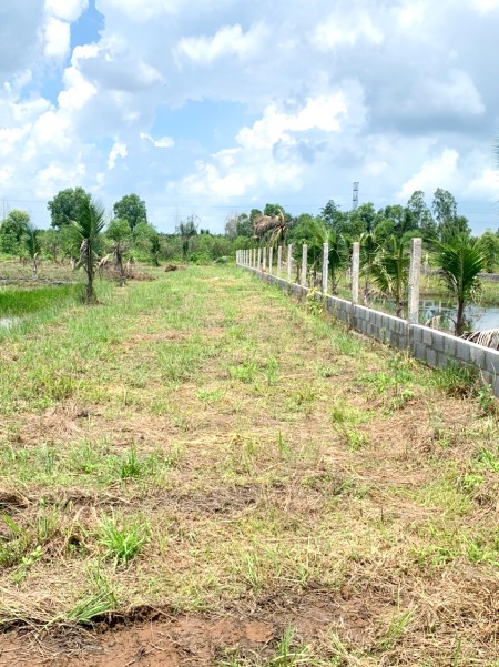 1000m2 đất sổ sẳn giá 1,19 tỷ, đất nằm bên tuyến QL1A cách Q1,TPHCM chỉ 40km