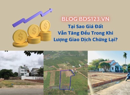 Tại sao giá đất vẫn tăng đều trong khi lượng giao dịch chững lại?