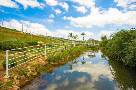 Đi đến slide 5