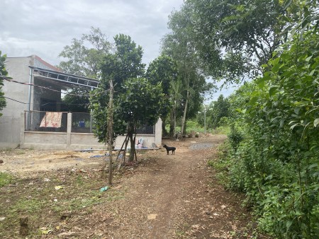 Đi đến slide 8