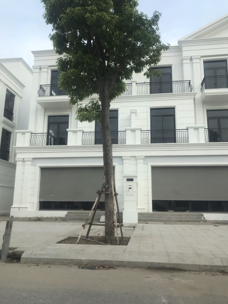 Chính chủ nhượng lại căn biệt thự liền kề Vinhomes Ocean Park, 90m2, 4,5 tầng