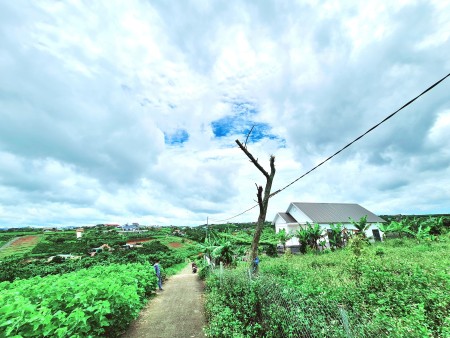 Đi đến slide 8