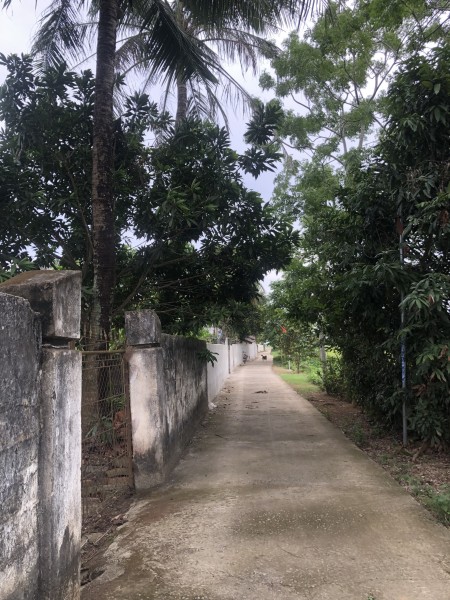 Đi đến slide 4