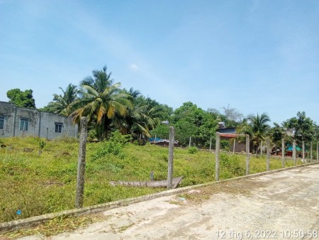 Đi đến slide 8