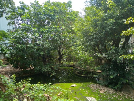 Nhà vườn cho thuê tại phường Bửu Long, Tp. Biên Hòa DT 400m² trên khu đất 1.200m²