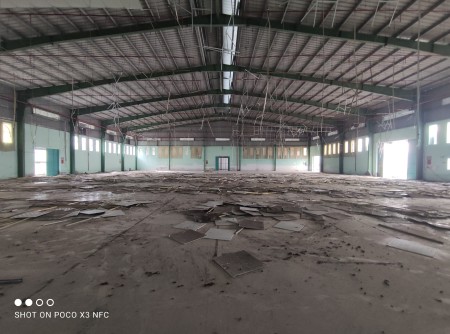 Cho thuê kho xưởng mới dtsd 5000m2 KCN Hải Sơn, Đức Hoà, Long An