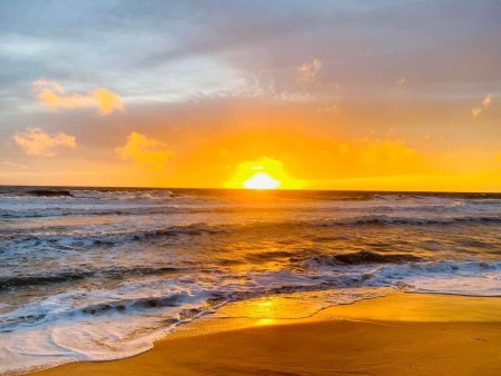 Siêu phẩm The Sound dự án Thanh Long, tiện ích đủ, giá tốt đầu tư