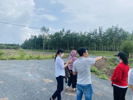 Đi đến slide 4