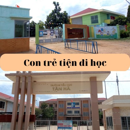 Bán đất sào ở tân hà diện tích 1000m vuông giá 547tr , được ngân hàng hỗ trợ cho vay 400tr