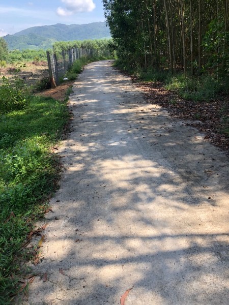Đi đến slide 9