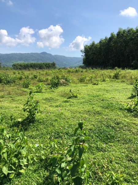 Đi đến slide 6