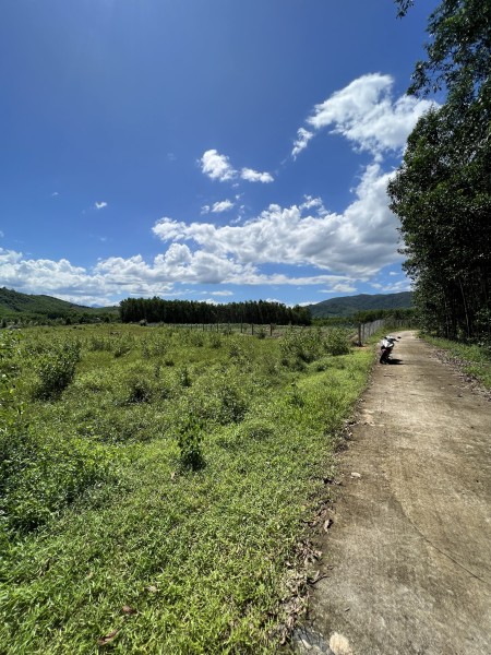 Đi đến slide 5