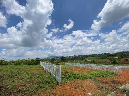 Đi đến slide 7
