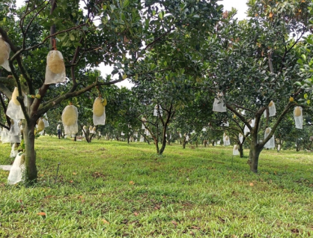 Đi đến slide 5