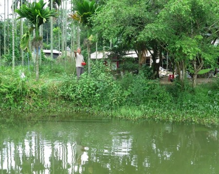 Đi đến slide 8