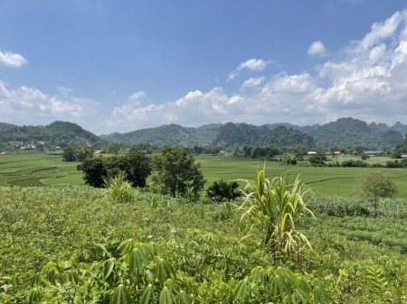 Đi đến slide 2
