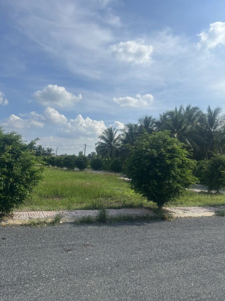 Đi đến slide 8