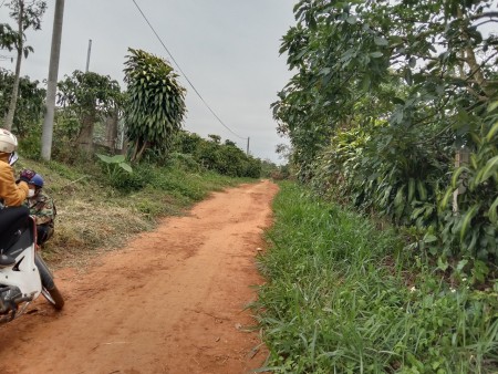 Đi đến slide 6