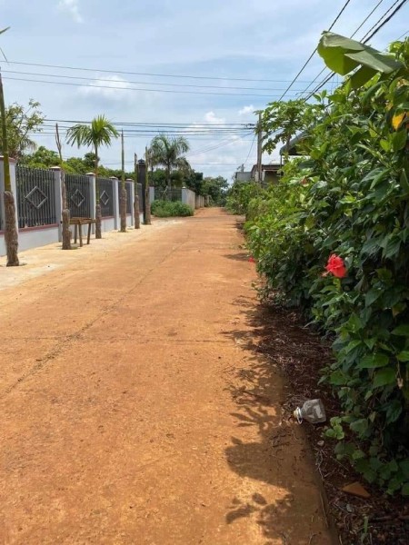 Bán gấp nhà yến 1,5ha đất kế bên UBND xã Tân Lợi giá 650 triệu