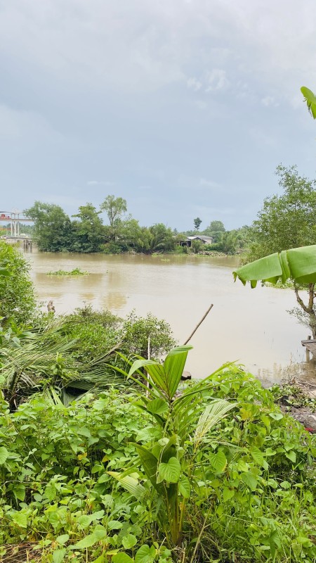 Đi đến slide 0