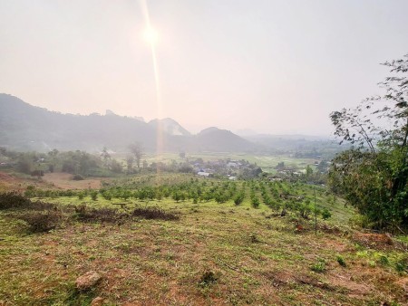 Đi đến slide 7