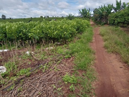 Đi đến slide 7