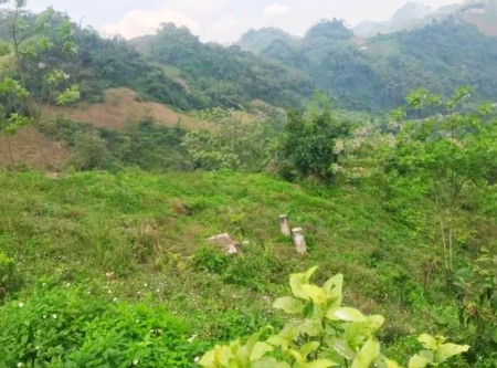 Bán đất tại Phú Khoa, Chiềng Khoa, Vân Hồ, Mộc Châu, Sơn La