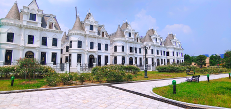 Đi đến slide 8
