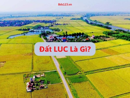 Đất LUC là gì? Đất trồng lúa có thể chuyển nhượng hay không?