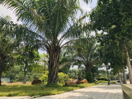 Khu Đô Thị Ruby City Bình Phước giá tốt đầu tư sinh lời, sổ sẵn
