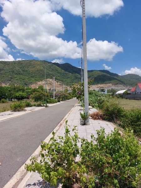 Chuyển nhượng Dự án đất cá nhân phân lô tách thửa có 2 Sổ có tổng diện tích: 13.016 m2