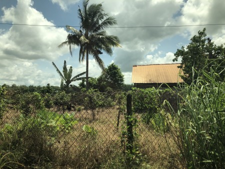 Đi đến slide 9