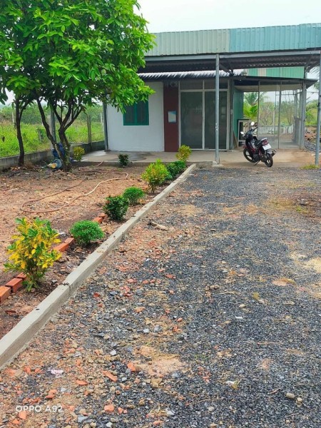 Mua đất tặng nhà vườn DT 736m2 Nguyễn Thị Rành Nhuận Đức Củ Chi TP HCM giá rẻ