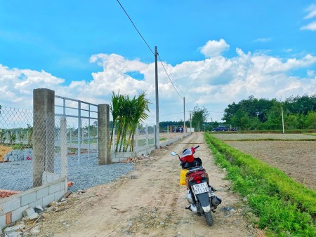 Chủ Kẹt Tiền Bán 2 Mảnh Đất Nhà Vườn Củ Chi diện tích 1000m2 giá rẻ