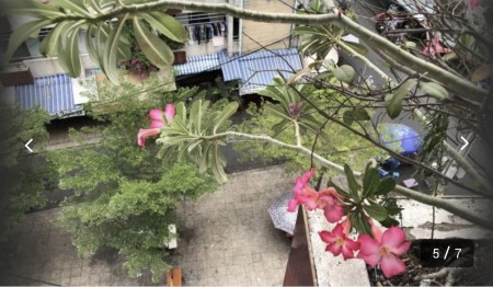 Bán chung cư Huỳnh Văn Chính Tân Phú DTSD 74m2 có gác tầng 5