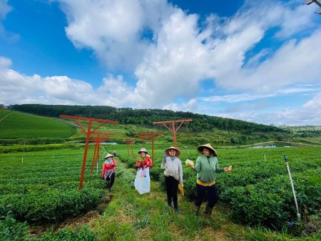 Bán biệt thự Bảo Lộc SHR view HỒ tự nhiên nghỉ dưỡng tuyệt vời chỉ 7.6 triệu/m2