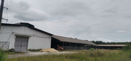 Thuê nhanh nhà kho tại An Nhơn Tây, Củ Chi với diện tích 17000m2