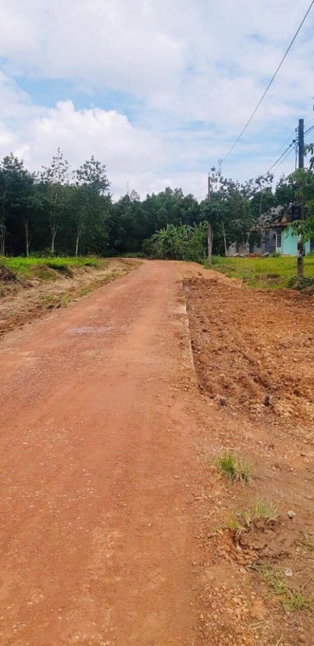 Đất ngay khu công nghiệp, sổ sẵn sát UBND Tân Lợi giá chỉ từ 480 triệu