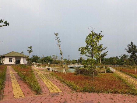 Bán lô đất thung lũng xanh, xã An Phước, Long Thành Đồng Nai, giá 1ty550, dtsd 120m2