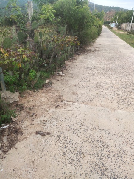 Cần bán lô đất đẹp ở Mỹ Bình 546m2, gần khu K1, giá yêu thương 2 tỷ.