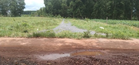 Đi đến slide 7