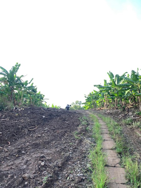 Đi đến slide 5