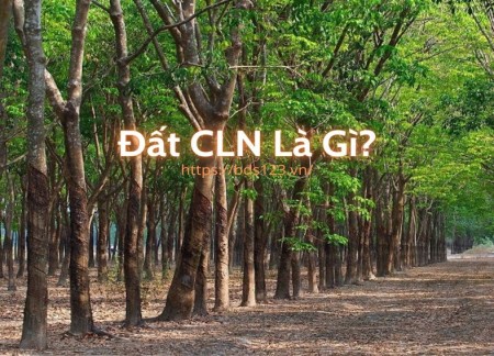 Đất CLN là gì? Thủ tục chuyển đổi đất CLN sang đất thổ cư Đất CLN là gì? Thủ tục chuyển đổi đất CLN sang đất thổ cư