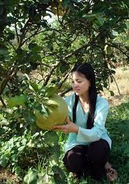 -RA ĐI GẤP VÀI LÔ ĐẤT ĐẸP NGAY UBND XÃ BÌNH LỢI VĨNH CỬU ĐỂ LẤY VỐN MUA NHÀ.
