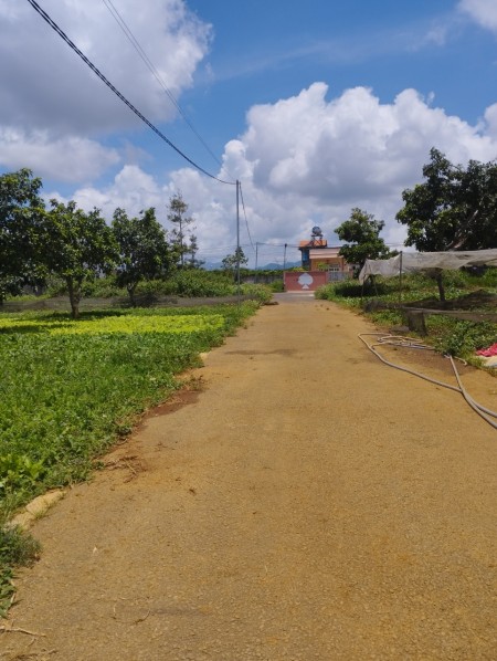 Đi đến slide 4