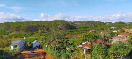 Bán đất thổ cư xã Lộc An, Lâm Đồng có sổ đỏ, đất đồi cao, 4 mặt tiền, DT 200m², nhỉnh giá 2 tỷ TL