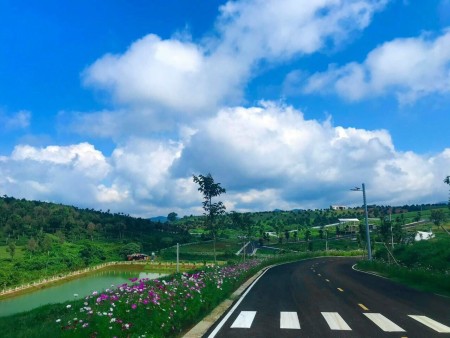 Đi đến slide 5