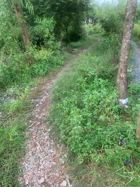 Đi đến slide 12