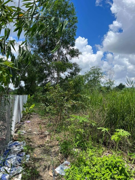 Đi đến slide 14